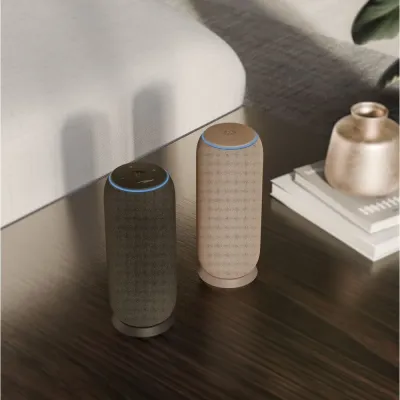 Motorola - Bezdrôtový reproduktor Sound Flow, carbon