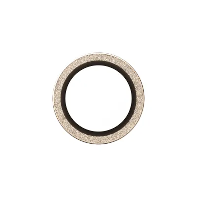 PanzerGlass - Ochranný kryt objektívu Hoops pre iPhone 17 Air, glitter gold