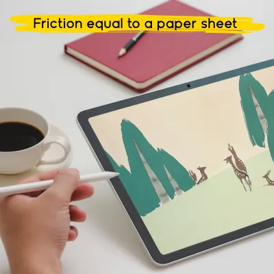doodroo - Ochranná fólia pre iPad Pro 13", číra